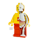 Illustration for article titled Youll Never Look at a Lego Man the Same After Seeing His Open Guts